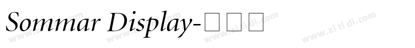 Sommar Display字体转换